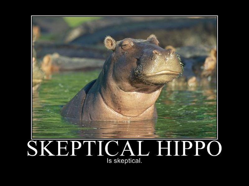 Skeptical Hippo is Skeptical meme