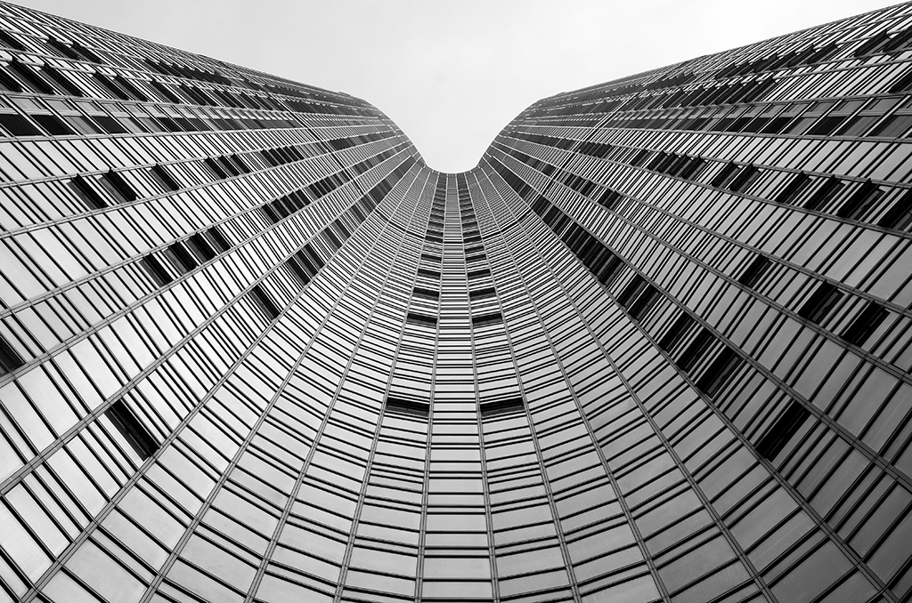 DSC_2499