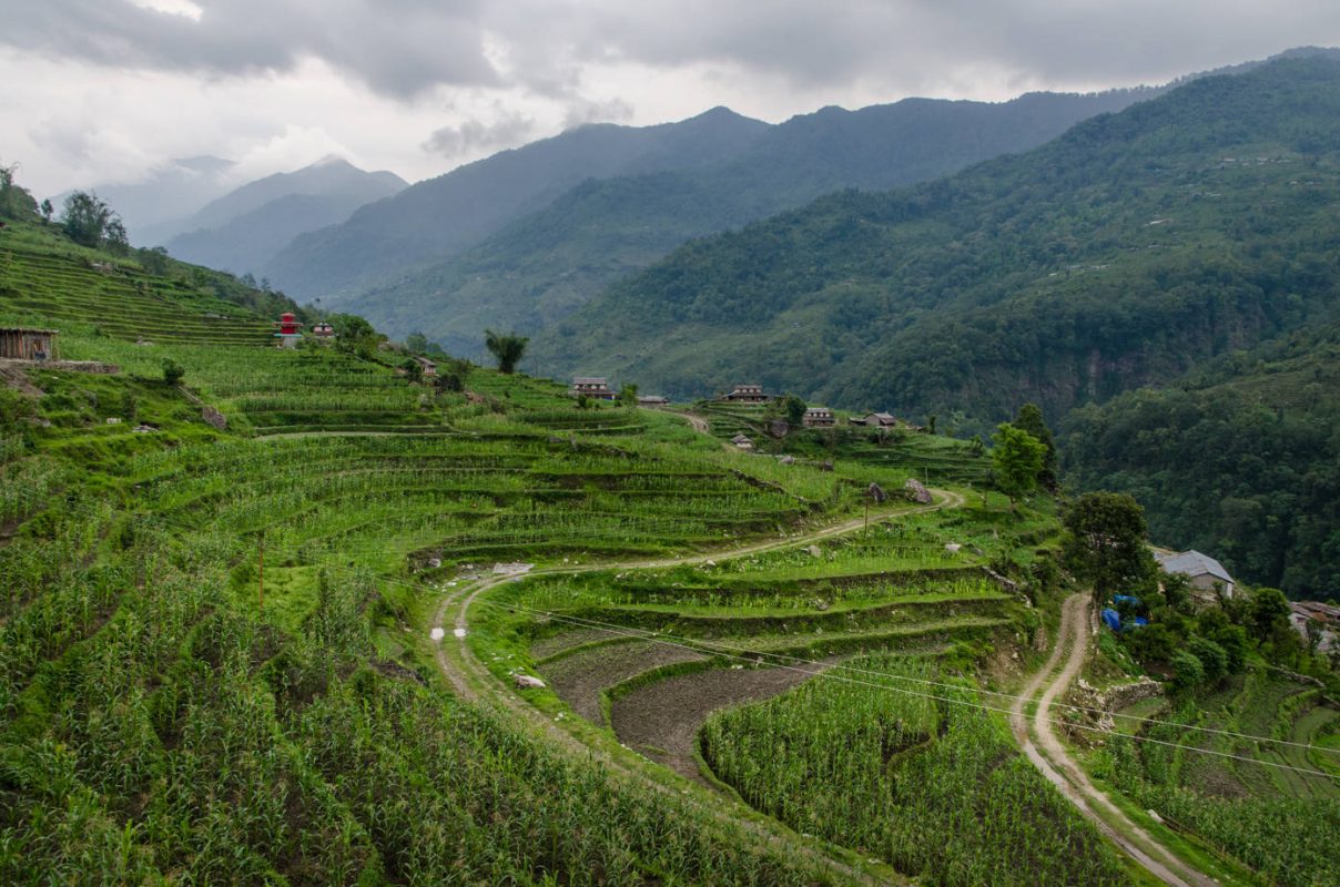 Terraces after the rain - Best hiking in Nepal