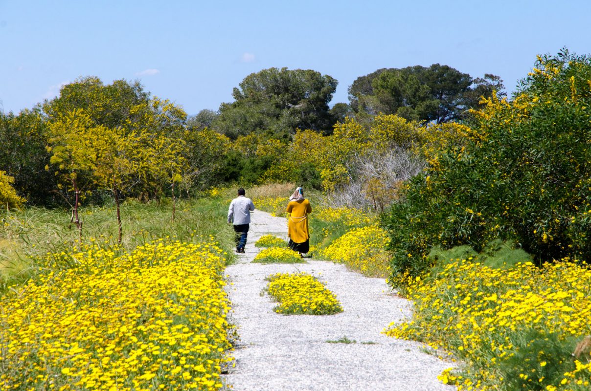 Northern Cyprus holiday guide - Salamis walking trail